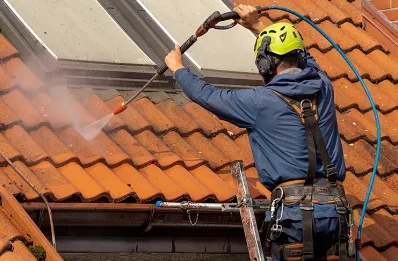Démoussage et hydrofuge de toiture à Murol